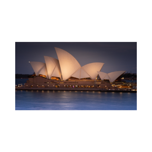 beaches ,cute koalas